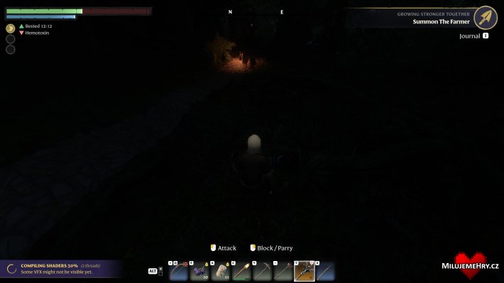 Obrázek ke hře Enshrouded