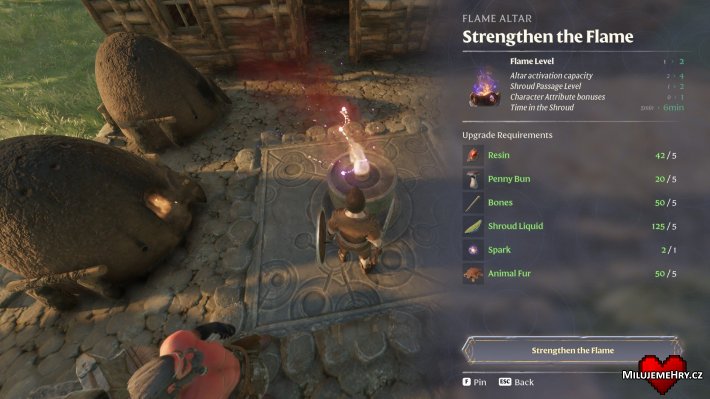 Obrázek ke hře Enshrouded