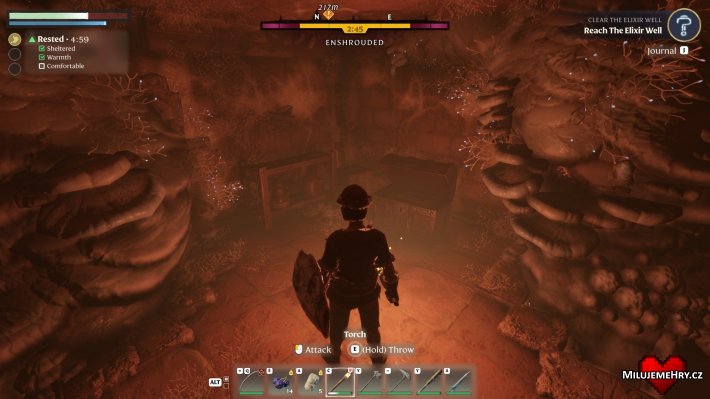 Obrázek ke hře Enshrouded