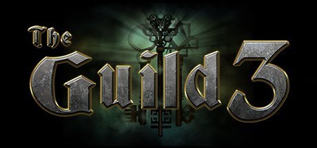 The Guild 3 pro Windows.